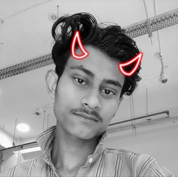 Meet your Posher, Raja - Picture 1 of 1